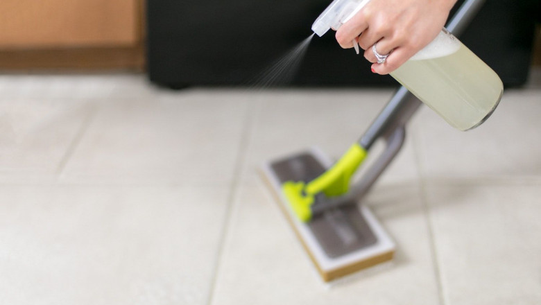 Floor Cleaners Market,Growth Status and Outlook 2022-2029