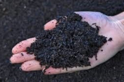 Global Biochar Market is expected to foresee significant growth. The Asia Pacific to lead the growth!