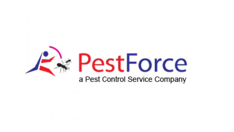 Home Pest Control: Simple and Efficient Techniques