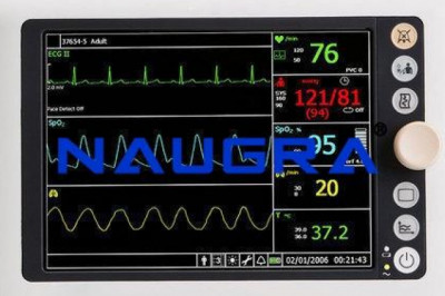 Patient Monitor Exporters