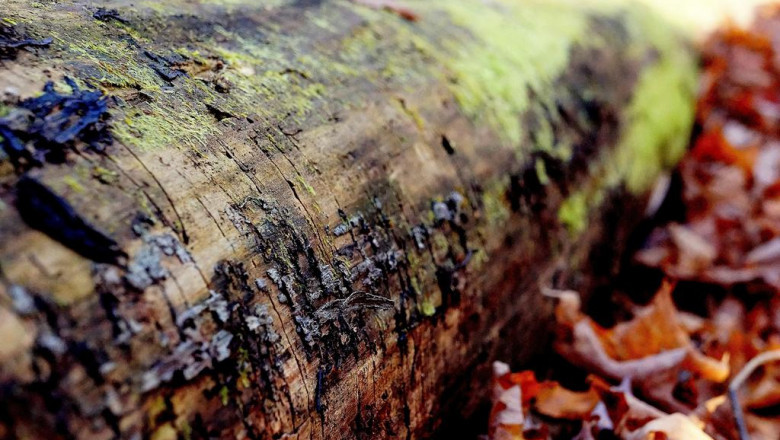 14 questions you might be afraid to ask about sunbury cars