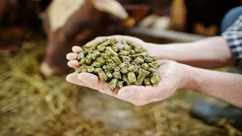 Global Glufosinate Market Growth, Share, Size and