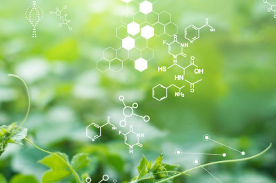 Global Green and Bio Polyols Market Analysis