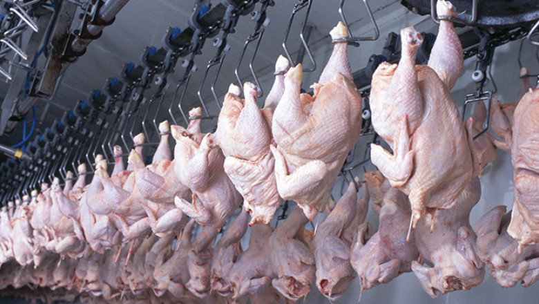 Global Poultry Processing Equipment Market Growth, Share, Size and Forecast 2027
