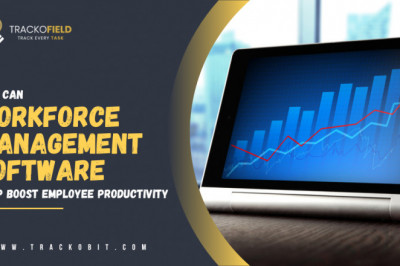 How Can Workforce Management Software Help Boost Employee Productivity