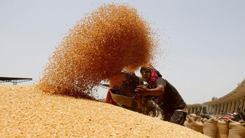 India Grain Analysis Market Growth, Share, Size and Forecast 2027