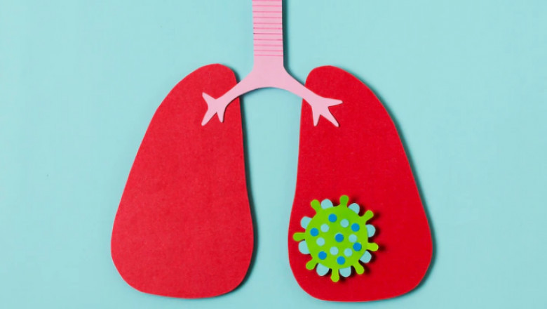 Lung Detoxification: Why Should You Purge Your Lungs?