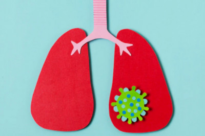 Lung Detoxification: Why Should You Purge Your Lungs?