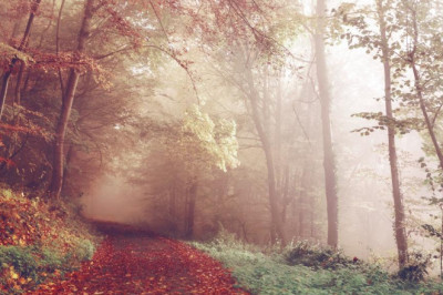 meet the steve jobs of the best classic cars for weddings leamington spa industry