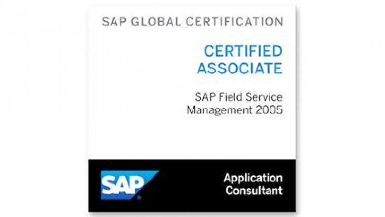 Practice C_C4H520_02 Engine - SAP Top C_C4H520_02 Exam Dumps