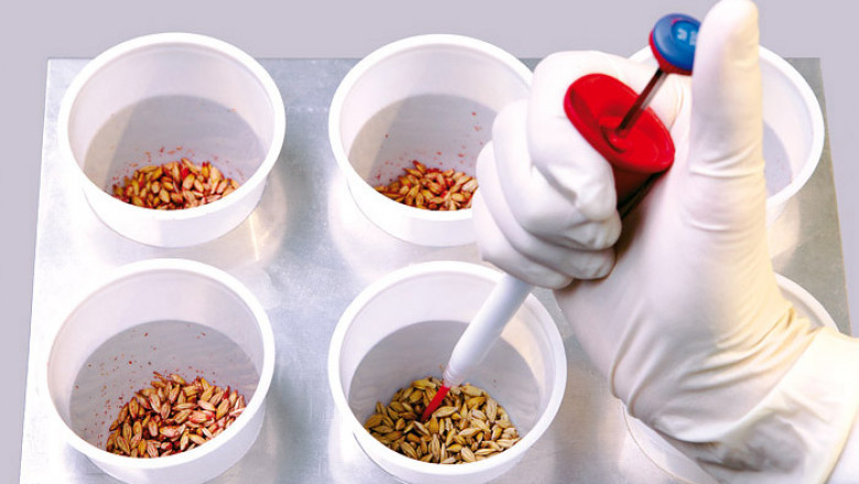 Regional Analysis of Seed Treatment Market, Forecast 2020-2027