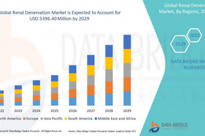 Renal Denervation Market Industry Trends Analysis Report by Technology, By End User & By Product