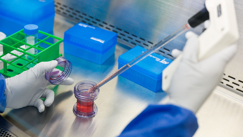 South Korea Autologous Cell Therapy Market to Set Phenomenal Growth by 2027