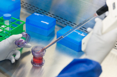 South Korea Autologous Cell Therapy Market to Set Phenomenal Growth by 2027