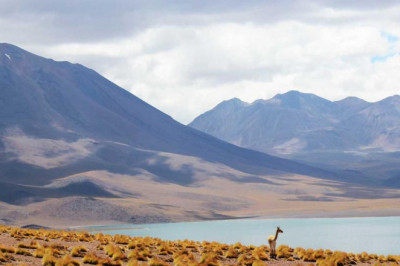 9 things your parents taught you about elite jordan kovacs jersey jordan kovacs authentic jersey