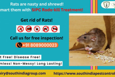 Best Rodent control in Bangalore