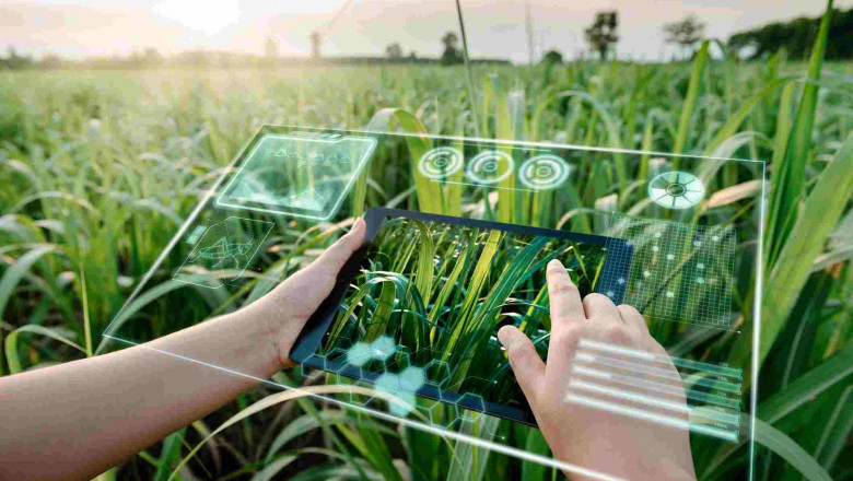 Brazil AI in Agriculture Market Share, Size, Growth and Forecast 2027