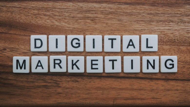 Digital Marketing Expert in the USA | David Sechovicz