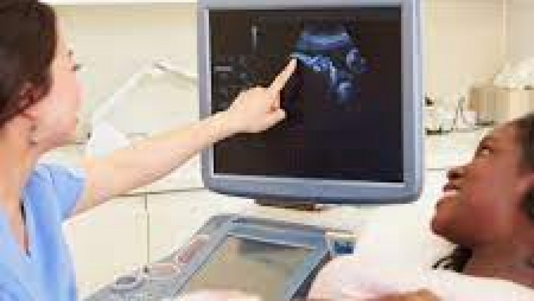 Discover How Ultrasound Training Course Works