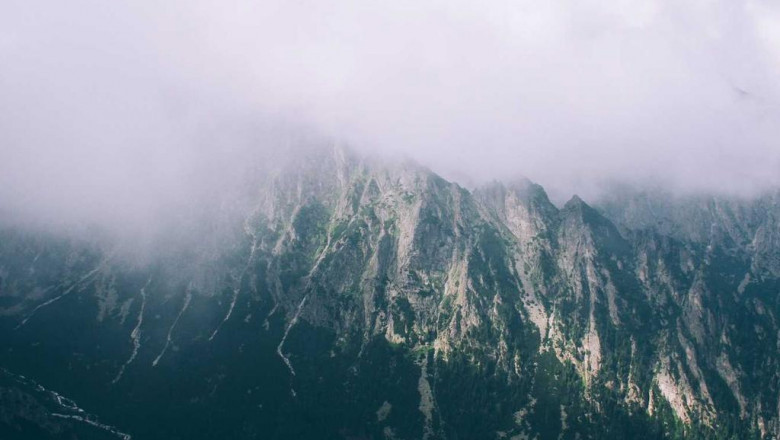 how to make sure youre choosing the right fullerton artificial grass expert