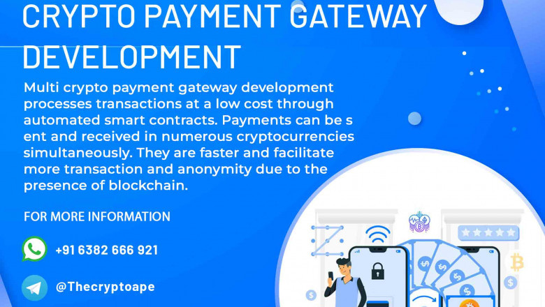In order to develop a crypto payment gateway, why would you choose CryptoApe?