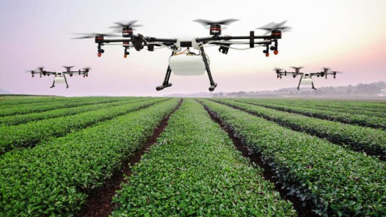 Netherlands AI in Agriculture Market Share, Size, Growth and Forecast 2027