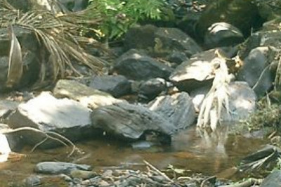 Places to visit in Kakkadampoyil