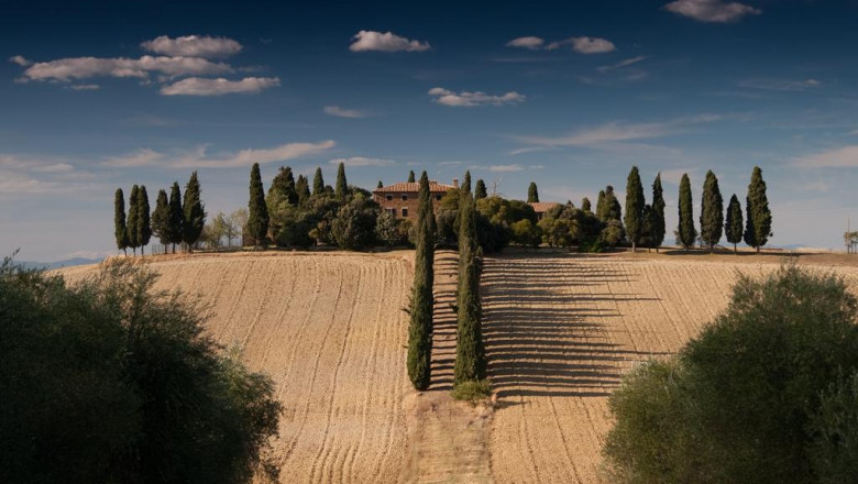 responsible for a cannabinoids for sale budget 12 top notch ways to spend your money