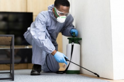 Termite Control for Wooden Homes