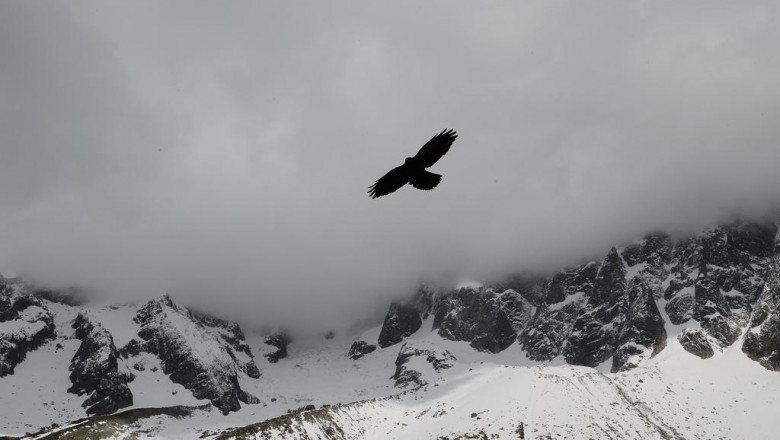 the 13 best pinterest boards for learning about order delta 8 thc