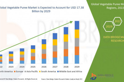 Vegetable puree Market Top Players, current and Future Growth to 2029