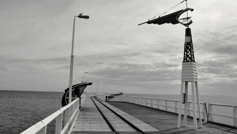 wang zhan pai ming poll of the day