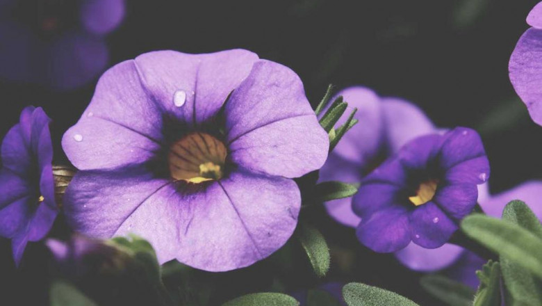 when professionals run into problems with seoruan jian this is what they do