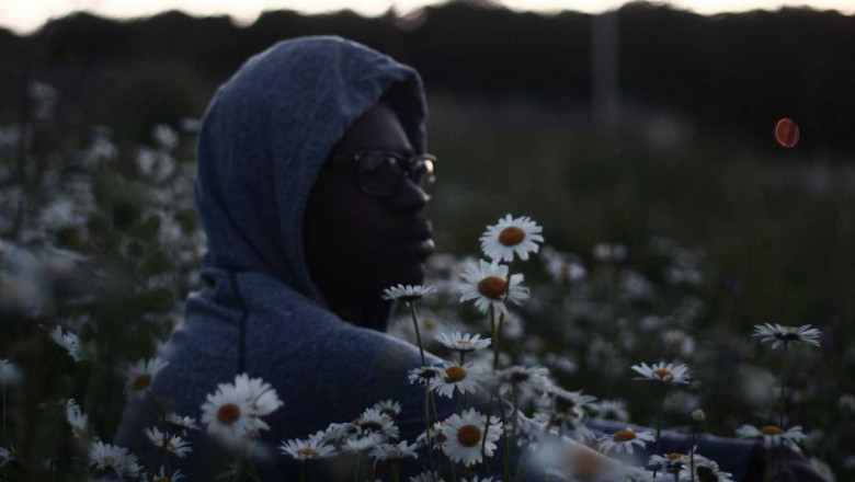 why you should do your research before choosing an fullerton artificial grass expert