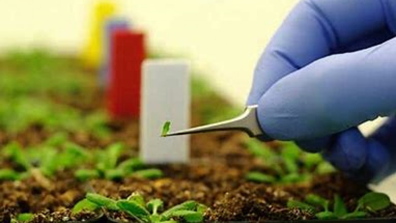 Agricultural Nanotechnology Market 2022: Industry Trends, Growth Analysis And Forecast To 2028