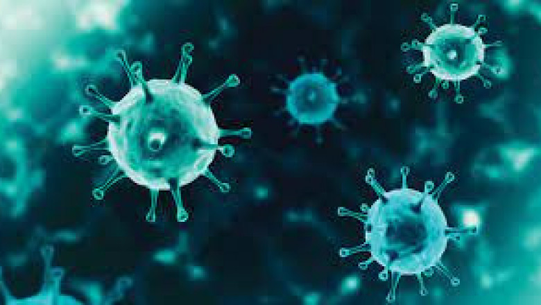 Antibacterial Coating Market Size, Key Players &amp; Forecast Report to 2028