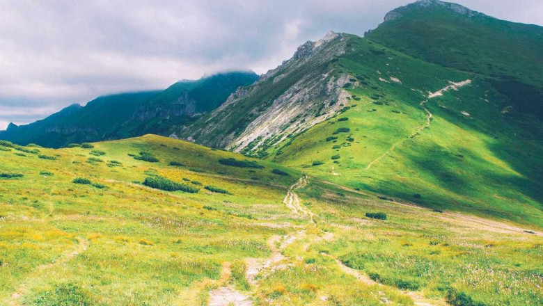 enhance your home with fullerton artificial grass