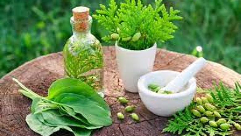Herbal Supplement And Remedies Market Trends, Share & Forecast Report to 2028