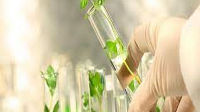 Renewable Chemicals Market Size, Growth, Industry Demand and Forecast, 2022–2028