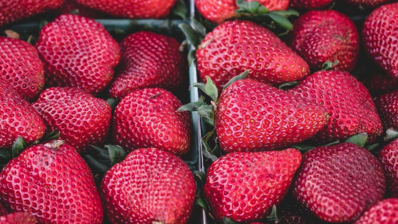 crammed german chocolate cake mix brownies dish