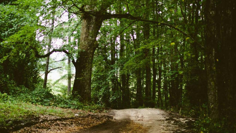 electrician gateway community college electrical repairs london