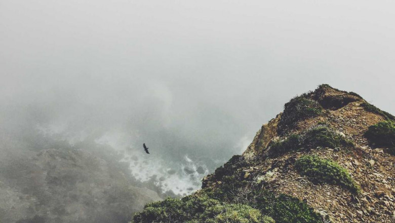 just how fast do electric bikes go