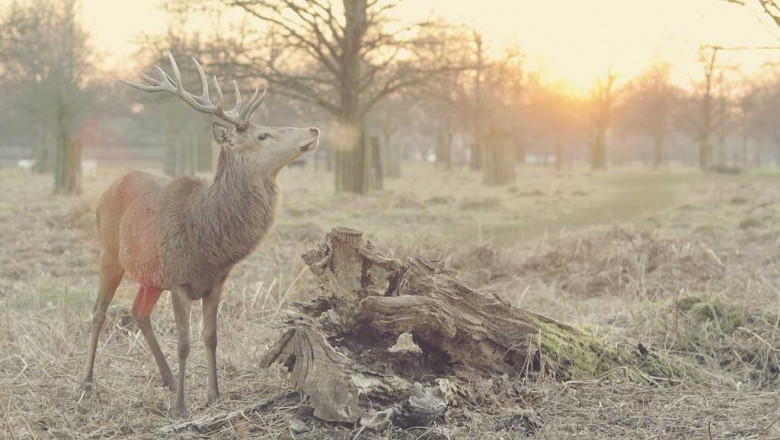 kytsd lhshyg vd tvtsvt mkhlvqt plyyrym yrvshlym