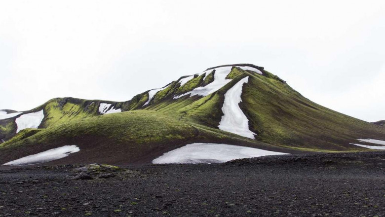 top 10 local handymen near you deck builders near me