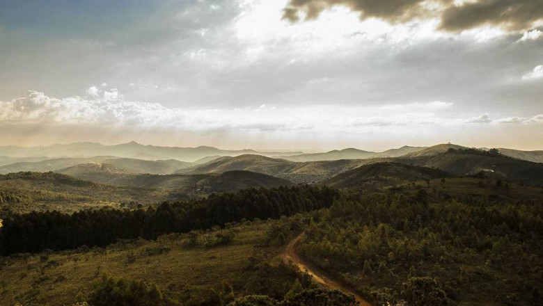 your worst nightmare about windows 10 come to life