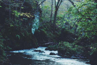 14 common misconceptions about kids educationa videos for kids