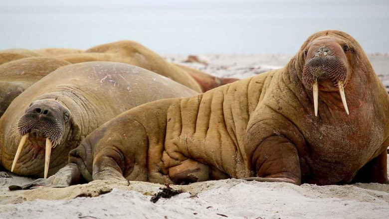 9 signs you need help with small business it support itleaderscomau