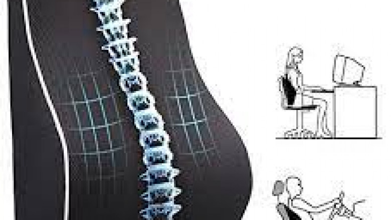 Best Lumbar Pillow For Lower Back Pain While Sitting