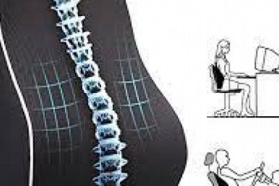 Best Lumbar Pillow For Lower Back Pain While Sitting