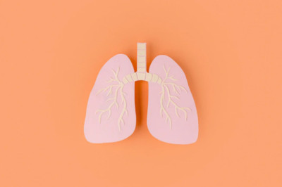 Detoxification Of The Lungs Is The Treatment For Smokers